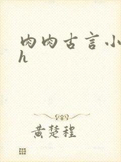 肉肉古言小说hh