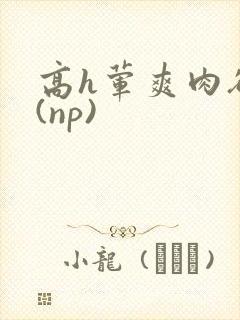 高h荤爽肉欲文(np)