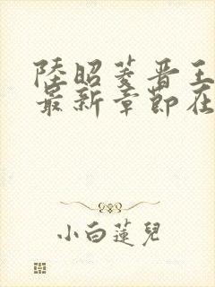 陆昭菱晋王小说最新章节在线阅读