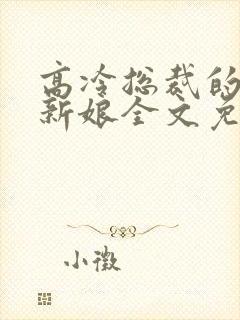 高冷总裁的抵债新娘全文免费阅读封面