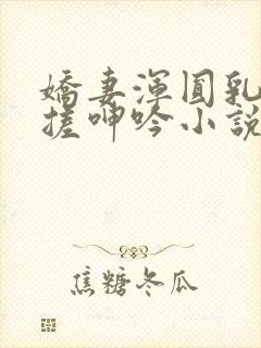 娇妻浑圆乳峰揉搓呻吟小说