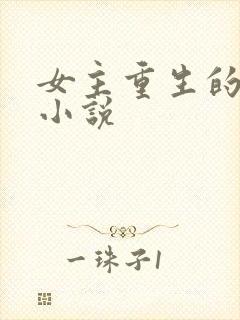 女主重生的现言小说封面