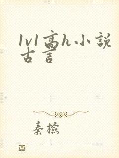 1v1高h小说古言