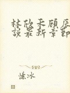 林欣禾顾辰昀小说最新章节免费阅读