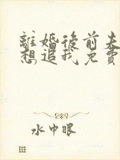 离婚后前夫总是想追我免费阅读全文封面