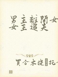 男主离开女主,女主追夫