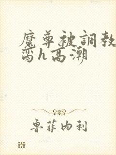 魔尊被调教成禁脔h高潮