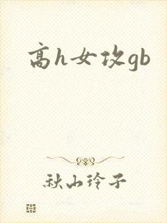 高h女攻gb