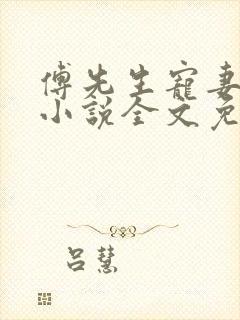 傅先生宠妻无度小说全文免费阅读