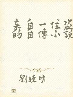 来自一位盗墓者的自传小说云峰