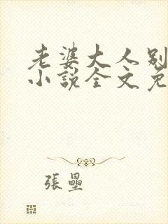 老婆大人别想逃小说全文免费阅读