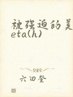 被强迫的美人beta(h)