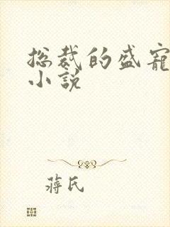 总裁的盛宠前妻小说