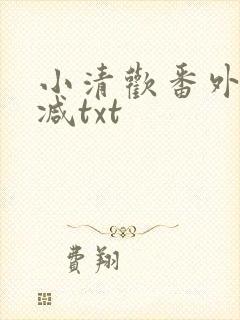 小清欢番外未删减txt