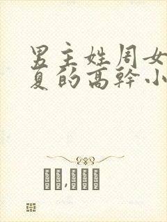 男主姓周女主姓夏的高干小说封面