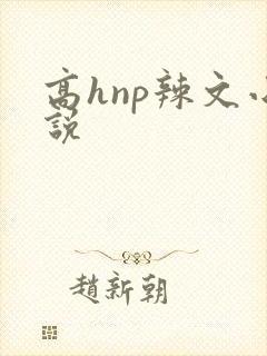 高hnp辣文小说