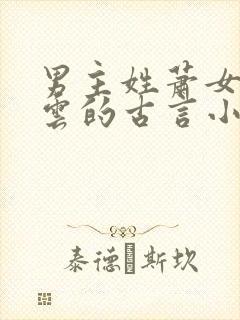 男主姓萧女主姓云的古言小说