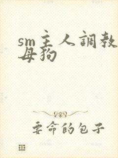 sm主人调教小母狗