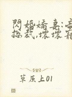 闪婚娇妻:帝国总裁,坏坏宠