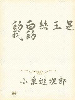 的白丝玉足夹住我的