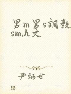 男m男s调教(sm,h文