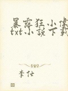 暴露狂小伟全文txt小说下载封面