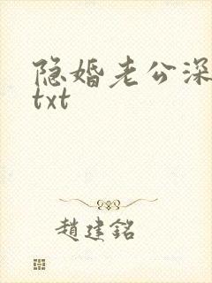 隐婚老公深夜来txt