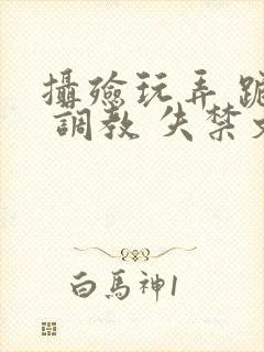 摄殓玩弄 跪趴 调教 失禁文