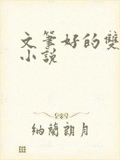 文笔好的双男主小说