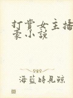 打赏女主播的神豪小说封面