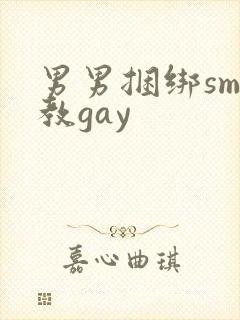 男男捆绑sm调教gay