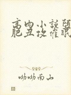 高肉小说堕落老肥丑攻催眠