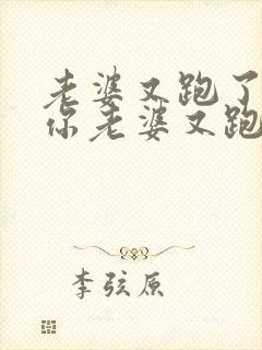 老婆又跑了少帅你老婆又跑了封面