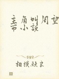 主角叫周望的都市小说