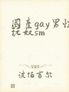 国产gay男性玩奴sm