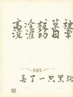 高冷校草被校霸浇灌的日常小说结局