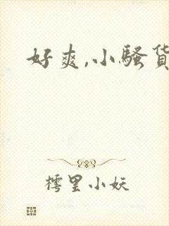 好爽,小骚货封面