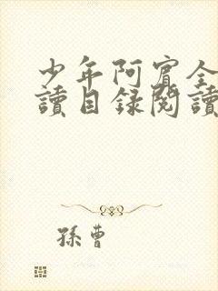 少年阿宾全文阅读目录阅读