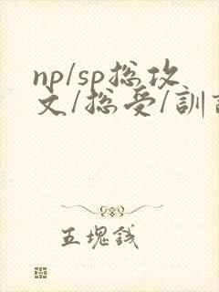 np/sp总攻文/总受/训诫文