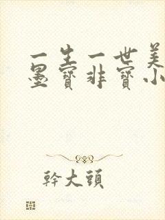 一生一世美人骨墨宝非宝小说全文免费阅读