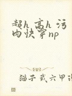 超h 高h 污肉快穿np