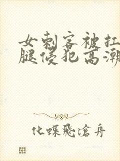 女刺客被扛起玉腿侵犯高潮小说封面