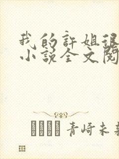 我的许姐很温柔小说全文阅读封面