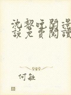 沈黎晚闻璟川小说免费阅读最新章节封面