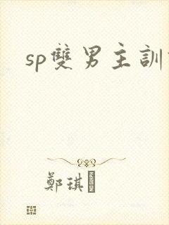sp双男主训诫封面