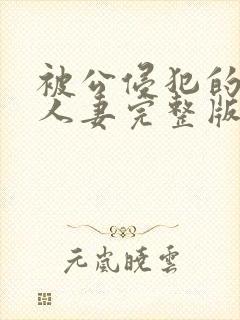 被公侵犯的漂亮人妻完整版