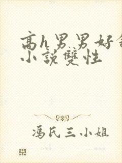 高h男男好舒服小说双性