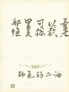 哪里可以看我的绝美总裁老婆完整版全文阅读