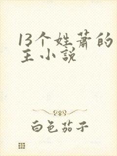 13个姓萧的男主小说