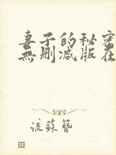 妻子的秘密日剧无删减版在线观看